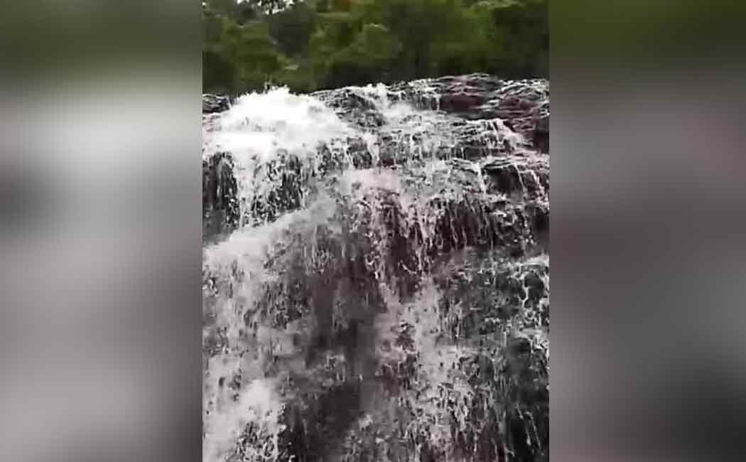 rescue team on search of missed boy
