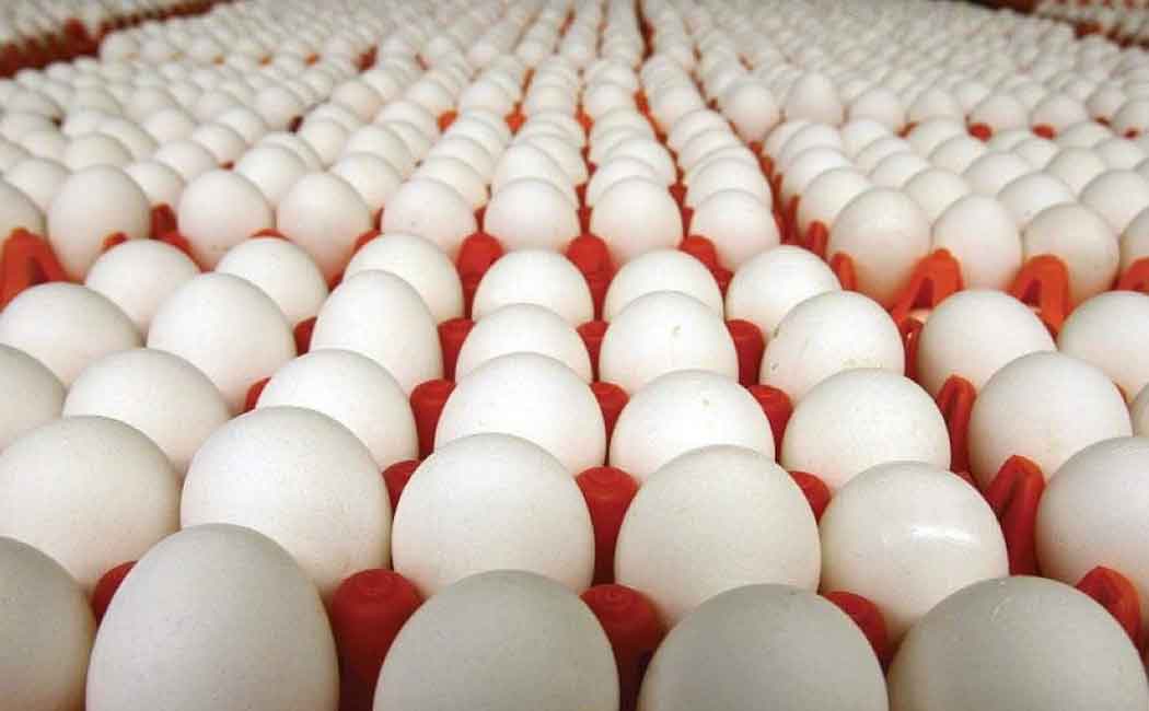Nutritious egg issue in kallakurichi