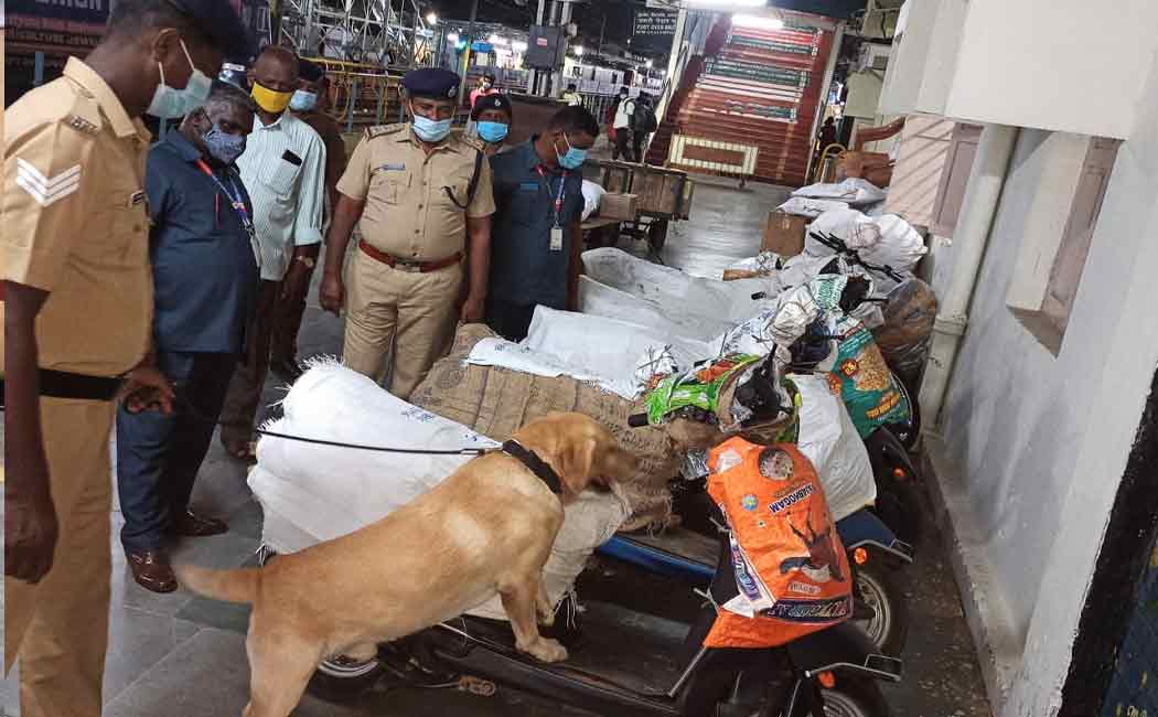 Police with the help of a sniffer dog