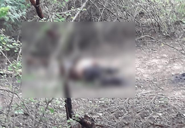 cuddalore girl incident police investigate