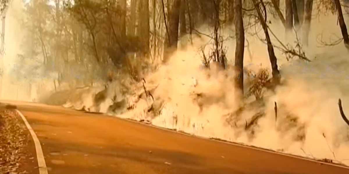Forest fire in Kodaikanal;Warning to tourists