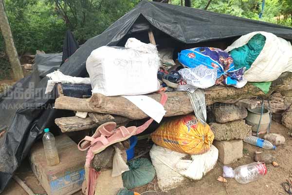 life of 3 girls living under a tree without a home