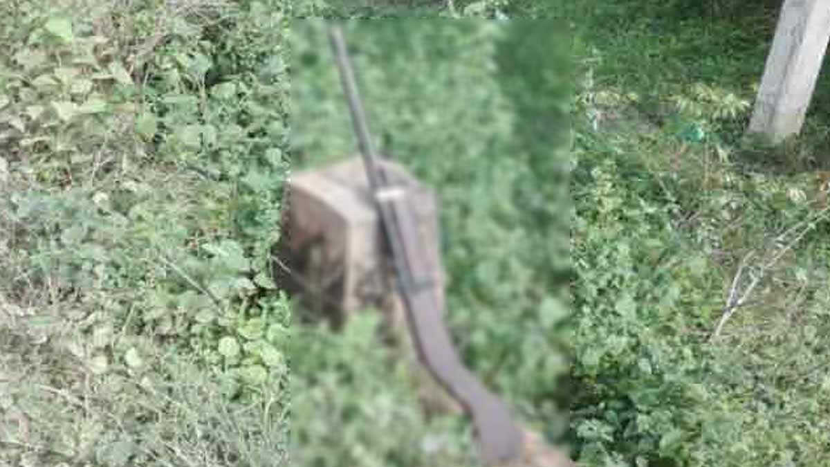 The farmer was injured in the gunshot