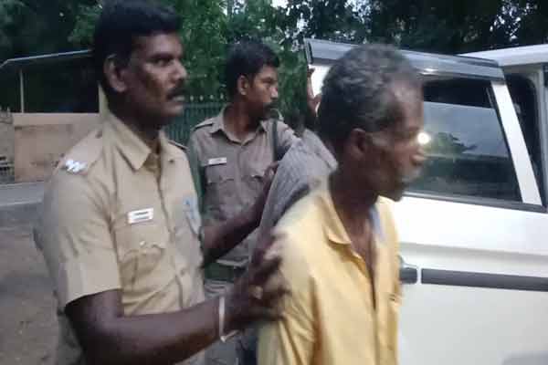 Incident of forest black trees in Theni district