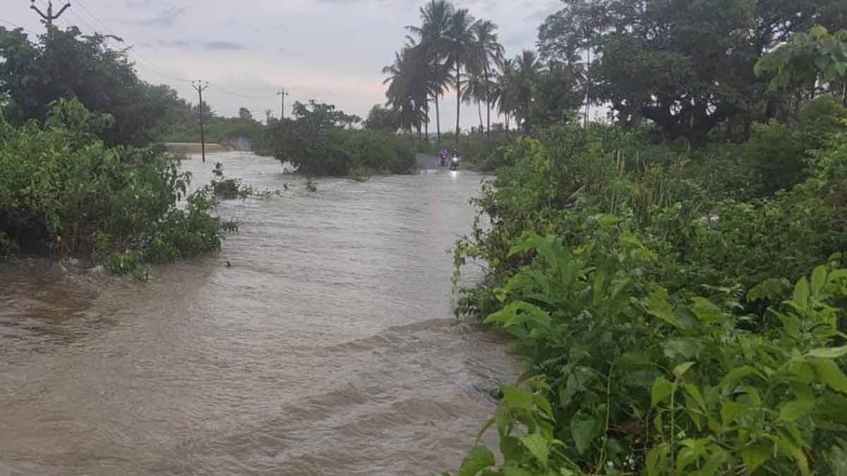 Heavy rain in Thalawadi; 2 cows die due to electrocution