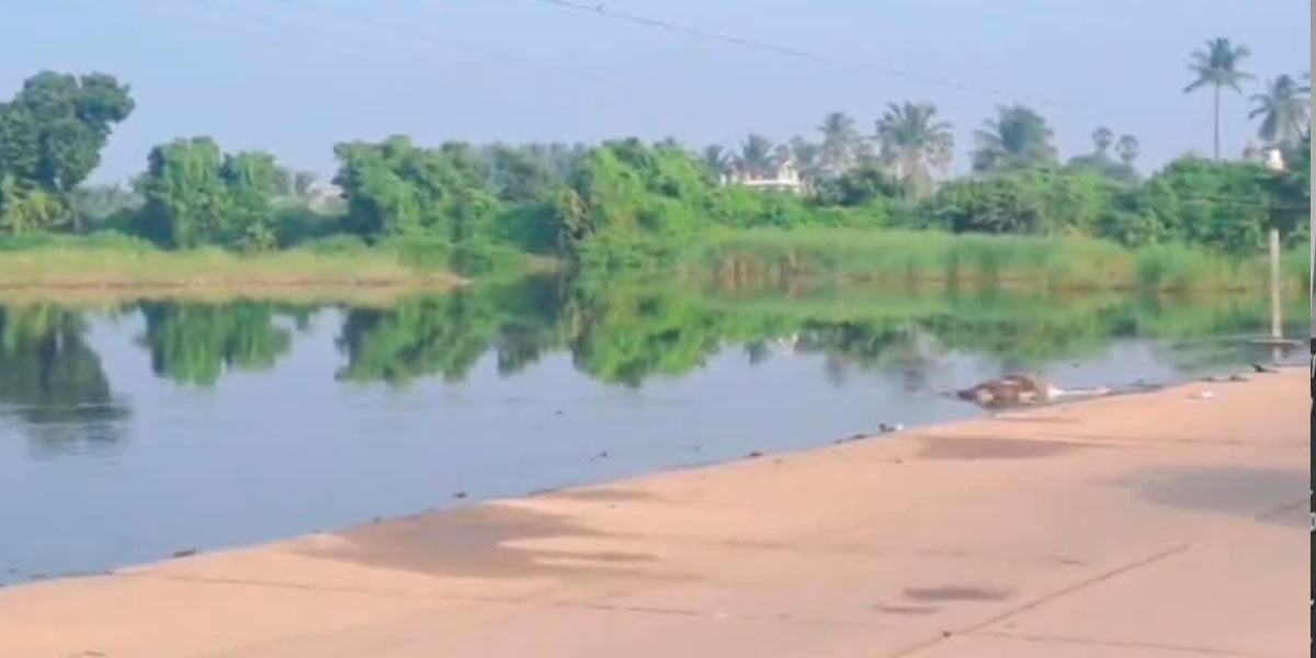 Male corpse rotting in river; Police investigation