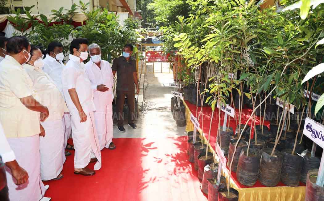 Chief Minister MK Stalin launches sapling planting program