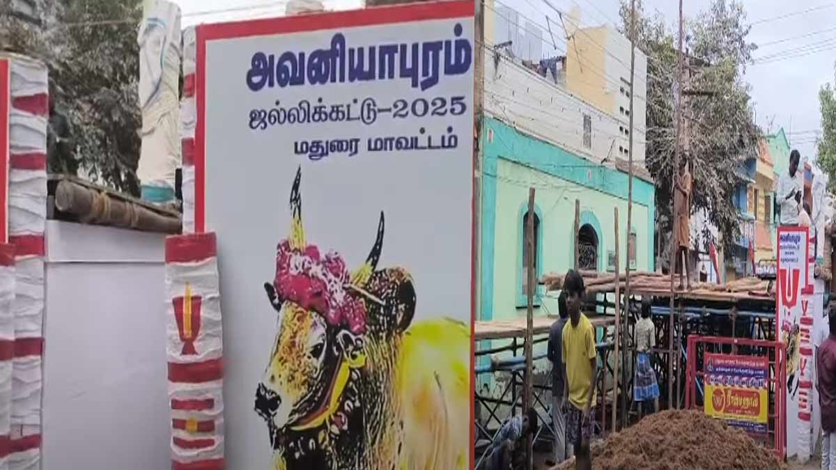 Famous actor's wife who had an argument with a sickle-Avaniyapuram Jallikattu stirs