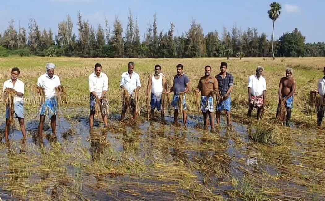 Farmers protest against officials for not counting crop damage ...