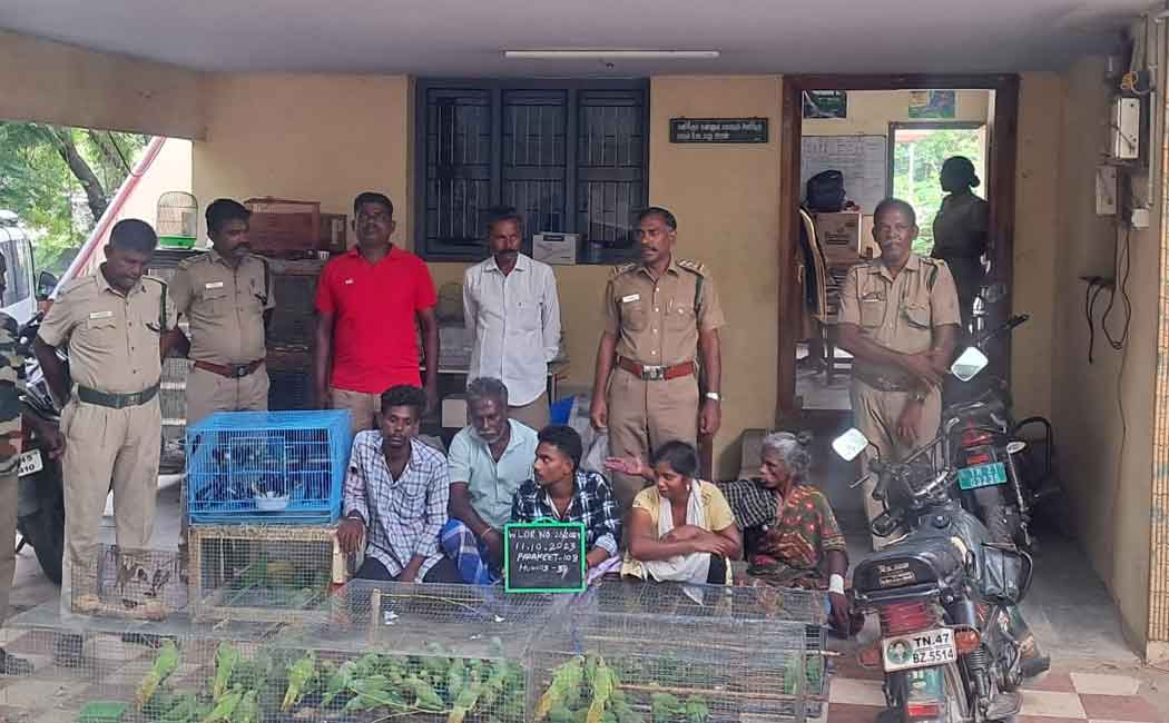 5 people were arrested for trying to sell green parrots and Munias birds