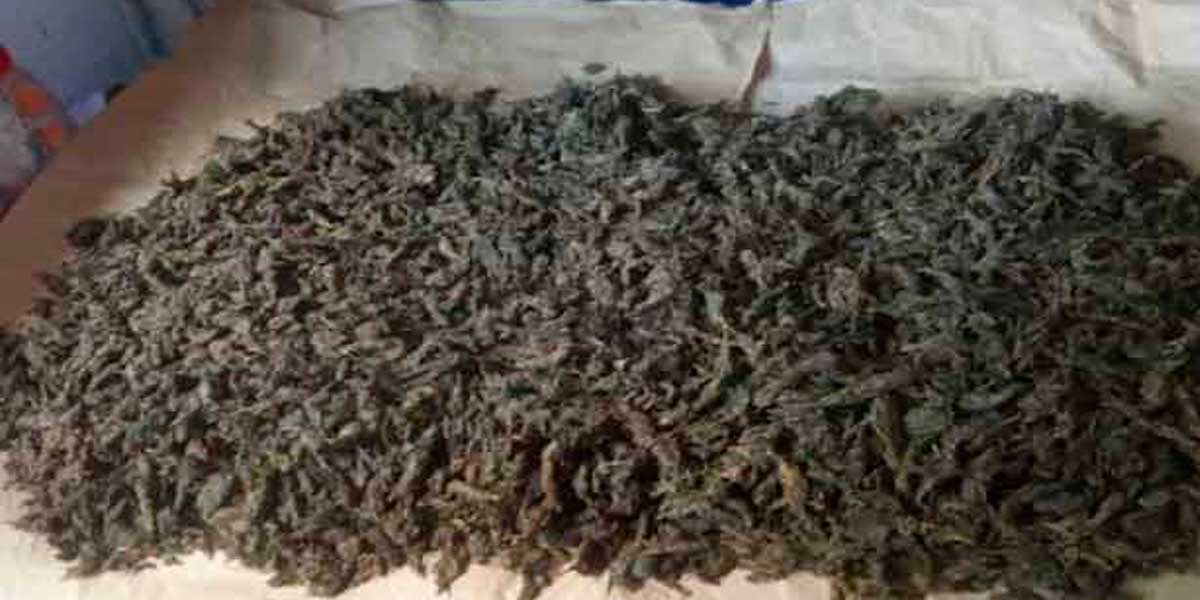 Two arrested for smuggling ganja on motorcycle