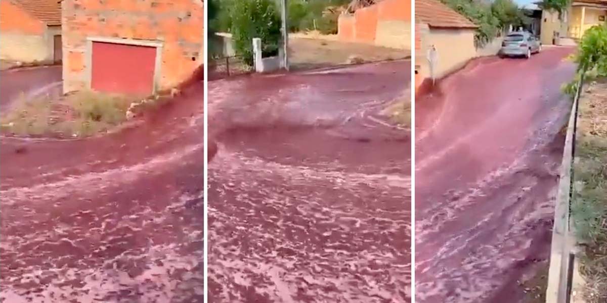 A town caught in a flood of wine