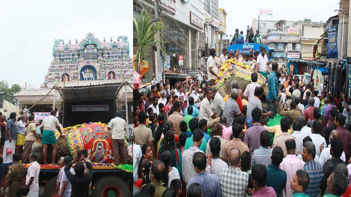 Gandhimati elephant passedaway-screaming devotees