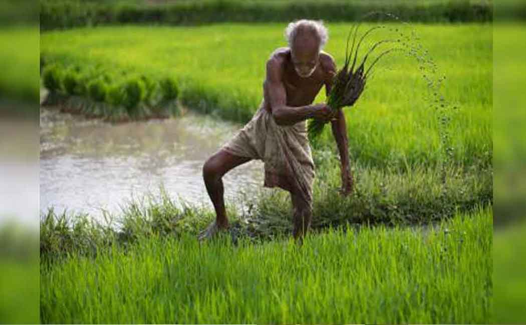 The first published agricultural budget ... Agricultural Associations congratulated the government