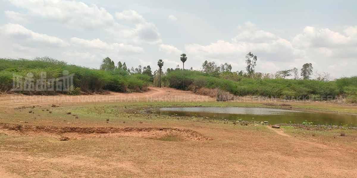 'Polpanai Kottay preparing for 2nd phase of excavation' - opportunity to be inaugurated by the Chief Minister