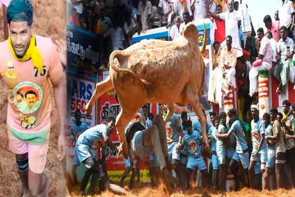 Completion of lower bank jallikattu; Abhi Siddhar topper