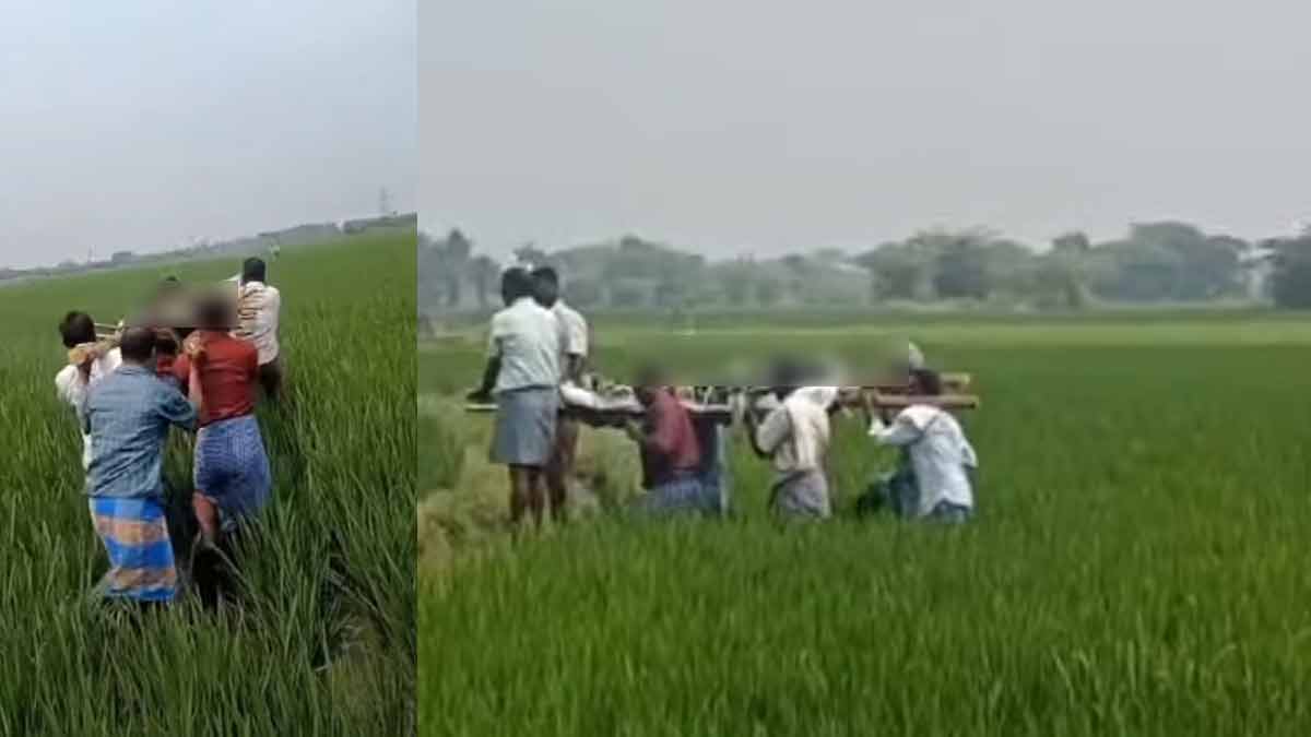 As there was no path, people went down to the field and carried the dead body