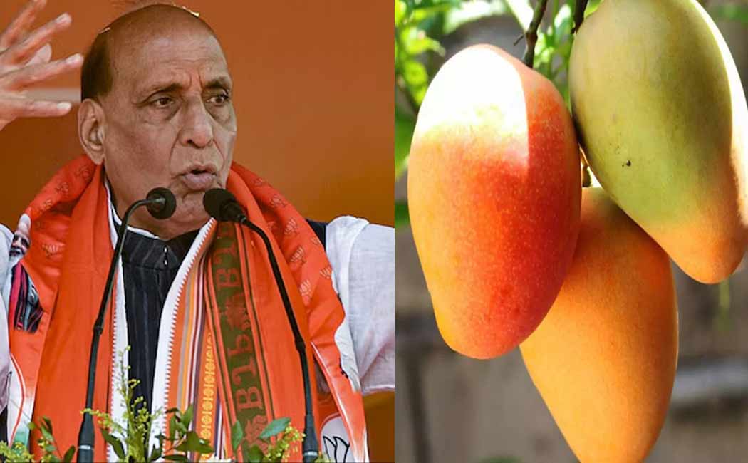 New variety of mango named Rajnath Singh by padma shree awardee