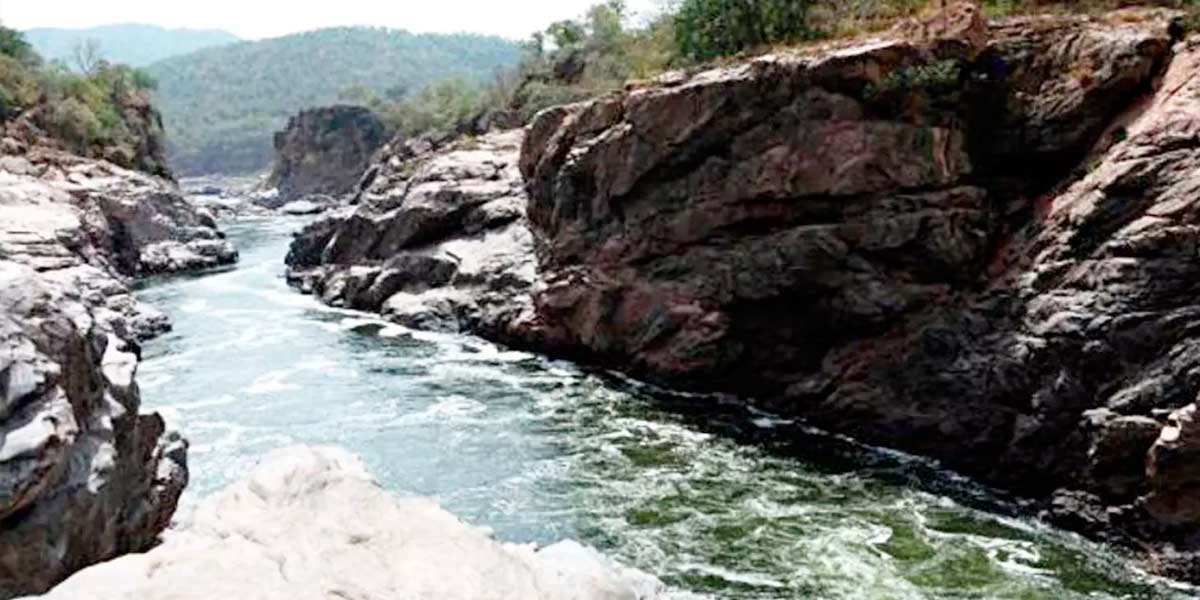 "Don't open water to Tamil Nadu" - Toy letter to Siddaramaiah