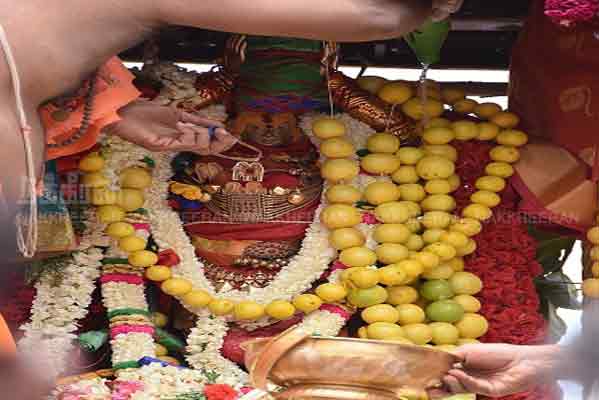 nellai aadithapasu festival