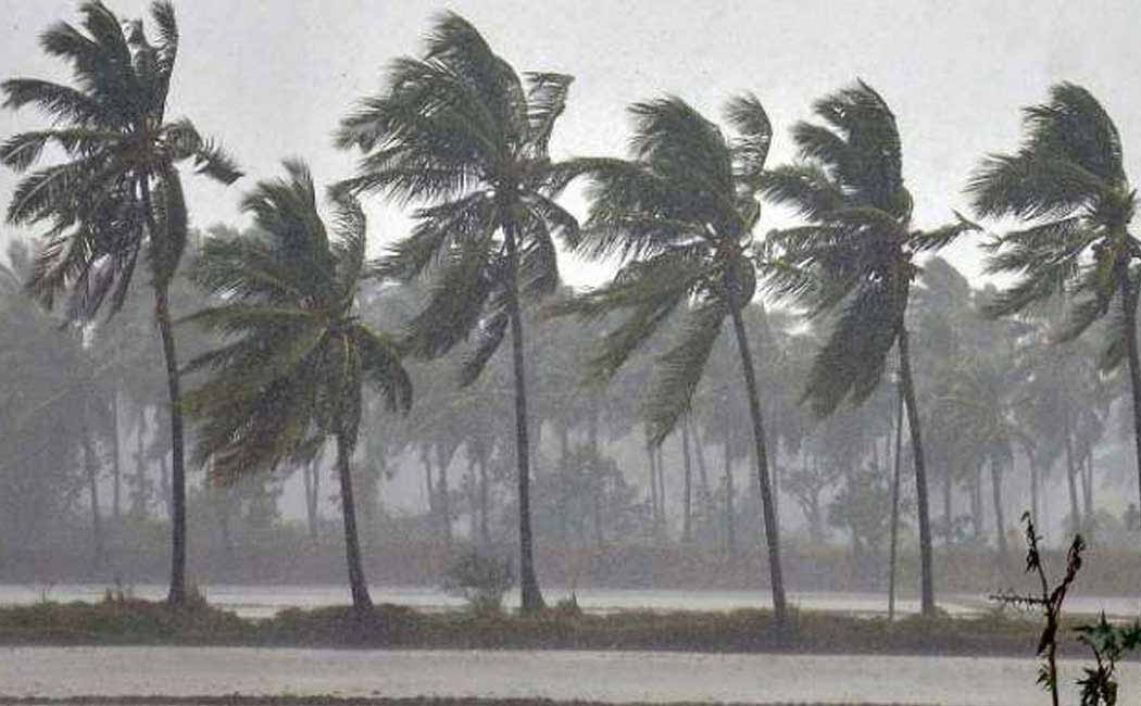 Chance of rain in 19 districts
