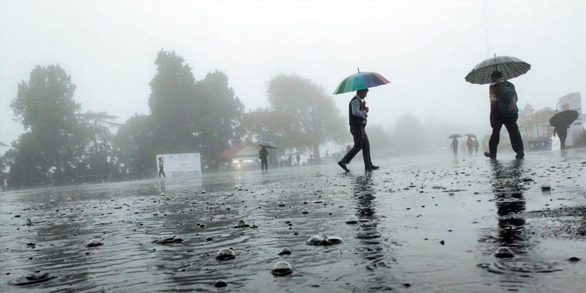 Chance of heavy rain in 11 districts