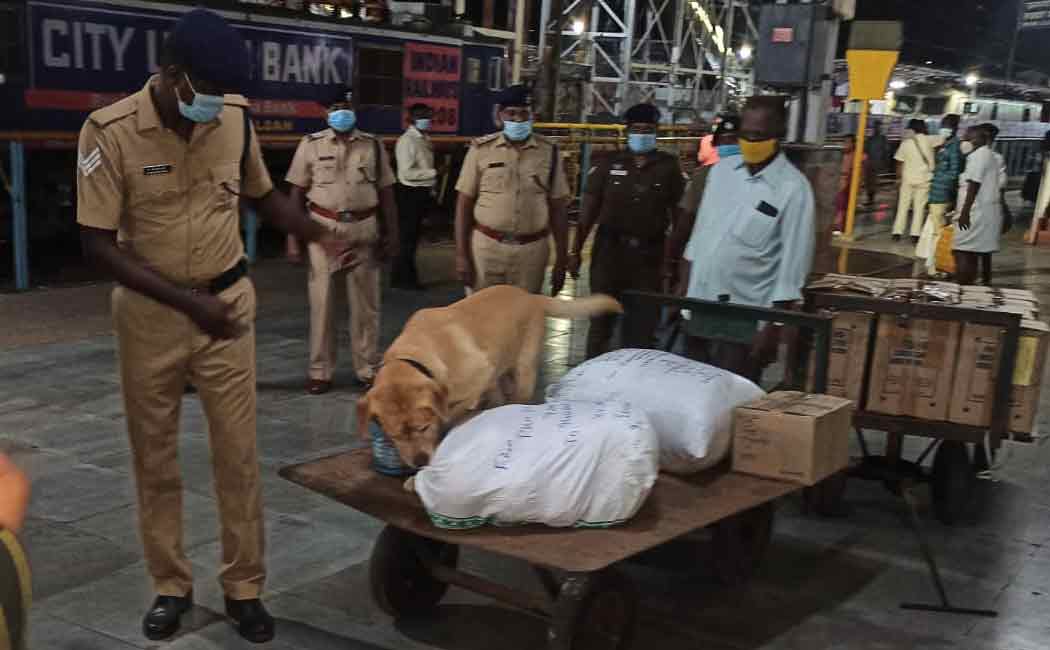 Police with the help of a sniffer dog