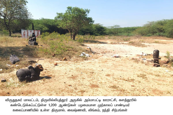 1,200-year-old Tirumal, Vaishnavi sculptures discovered in virudunagar