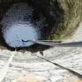 What is mixed in the well is not human waste Drinking water board explanation 