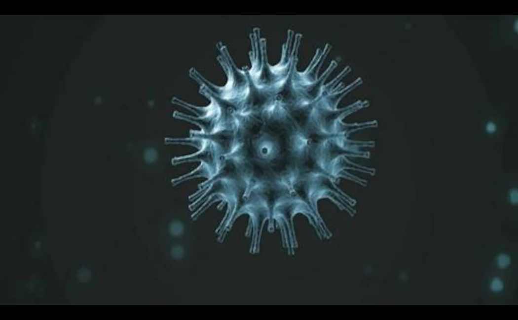corona virus