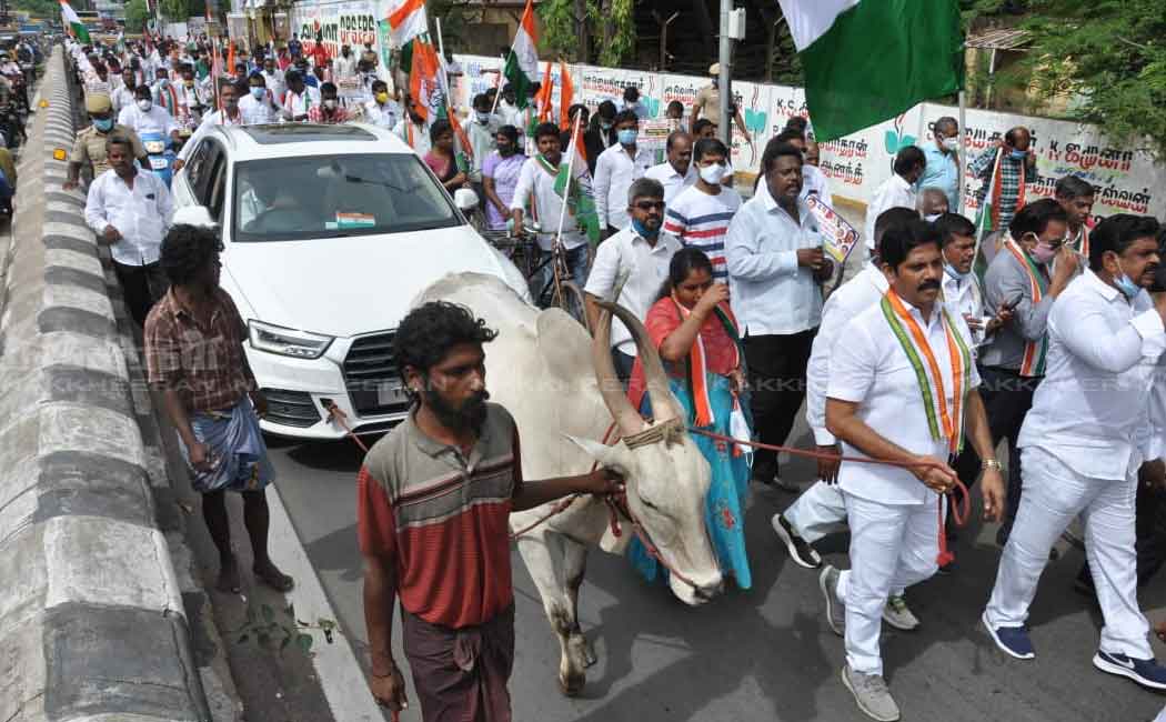 Congress party held a bicycle rally
