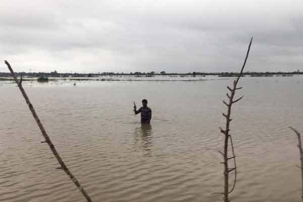 More than 10 thousand acres of paddy fields were inundated
