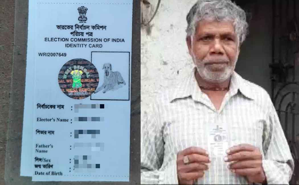 west bengal man gets voter id with dogs photo in it