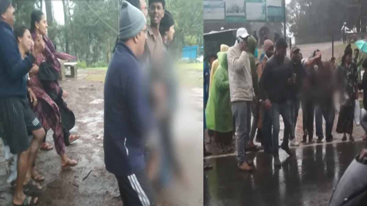 Boy lose their live after falling tree - Tragedy in Nilgiri Pine Forest