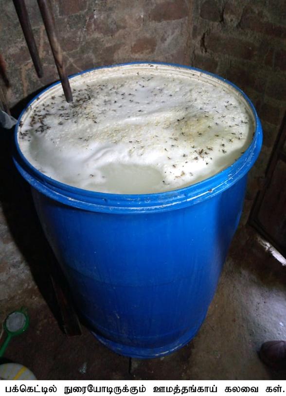 Lemongrass mixed in cash for more intoxication ... Breakdown of drug trafficking