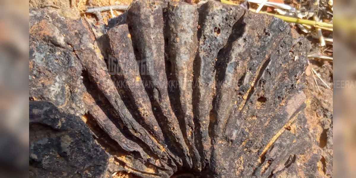 Traces of 2000-year-old iron waste... were discovered on a sprawling palm leaf!