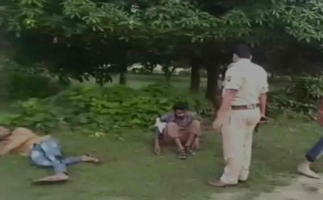 cow vigilance in uttarpradesh