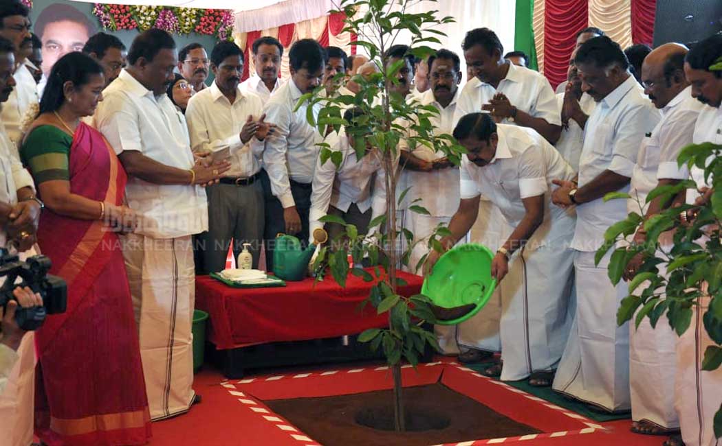 jayalalitha birthday function