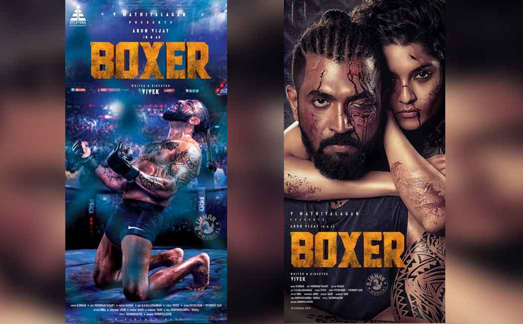boxer