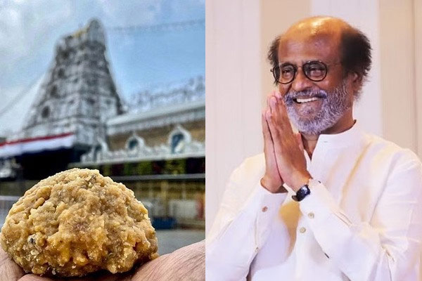 rajini about trupati laddu issue