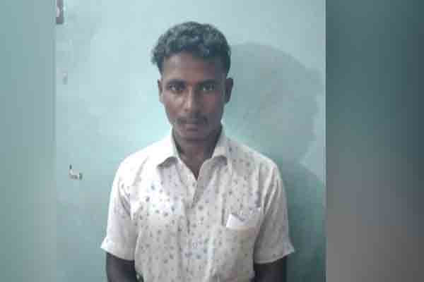 23 tons of ration rice ! Collector who took action!