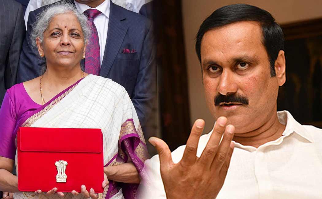 Anbumani said If had won 25 constituencies, Tamil Nadu would have been included budget