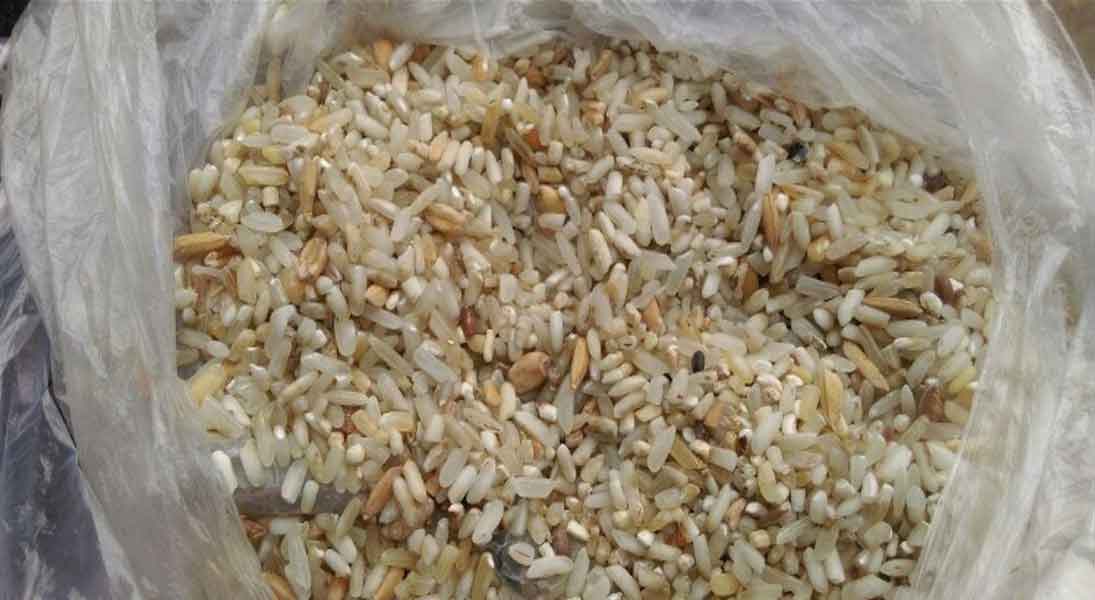 ration rice