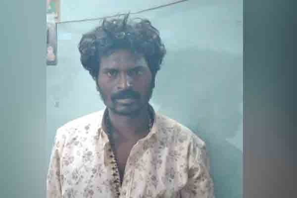 v23 tons of ration rice ! Collector who took action!