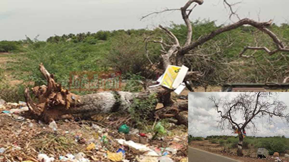 30-year-old Jeevan was lose their live by a nail