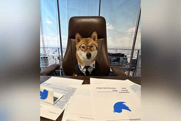 Elan gave the position of CEO of Twitter to a pet dog