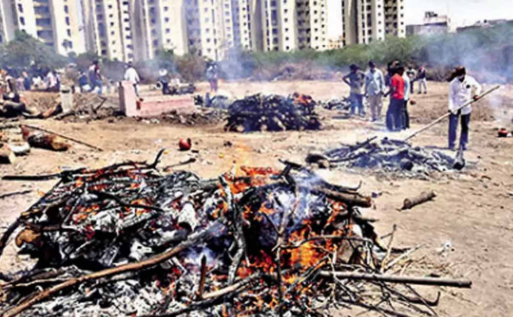 gujarat covid mismanagement crisis