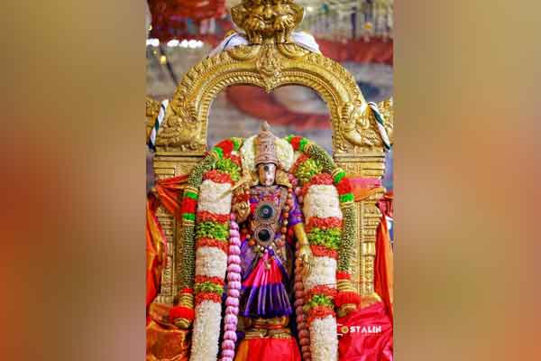 Madurai Meenakshi Amman Temple festival