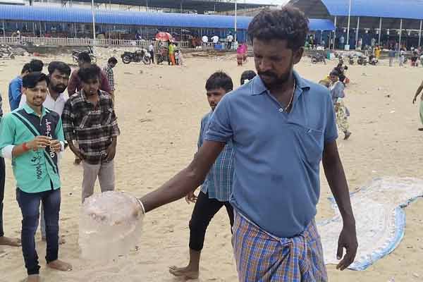 Jellyfish suddenly washed ashore on the Tiruchendur beach