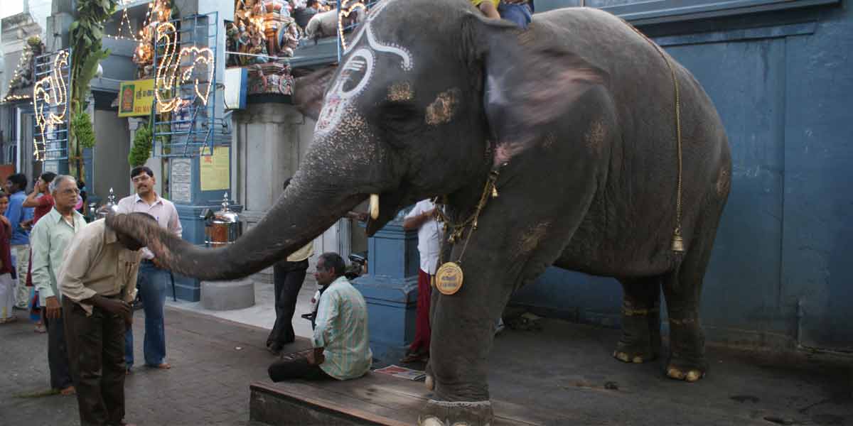 madakkulam vingayagar temple highcourt